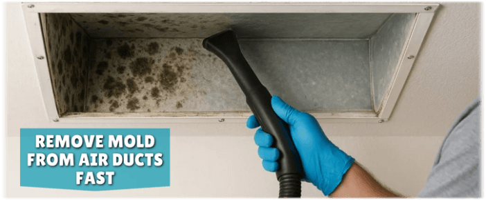 Air Duct Mold Removal in Chicago IL